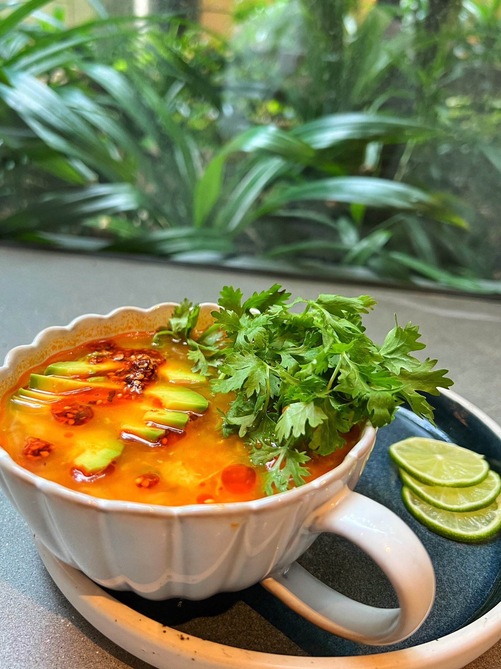 Chicken and Lentil Soup